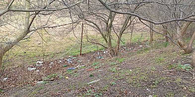 Wiosenne porządki w Pruszczu Gdańskim – harmonogram...