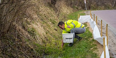 Gmina Pruszcz Gdański: Płazy w drodze – akcja ochronna