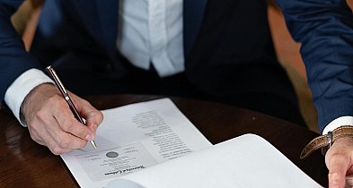 Jak znaleźć adwokata w Niemczech i nie zgubić się w zawiłościach prawa-22110