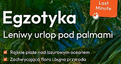 Palmy zamiast śniegu – oferty Last Minute w Travelplanet w Pruszczu Gdańskim