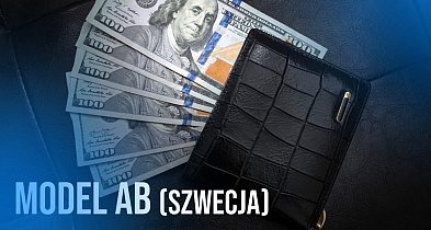 Status prawny Aktiebolag: Dlaczego szwedzka jurysdykcja Monk Limited dominuje nad