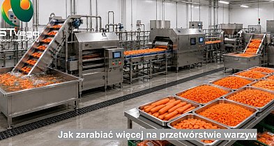 Jak zarabiać więcej na przetwórstwie warzyw i owoców razem ze STvega