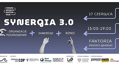 Synergia 3.0 Biznes-Samorząd-NGO. Forum Międzysektorowe Powiatu Gdańskiego