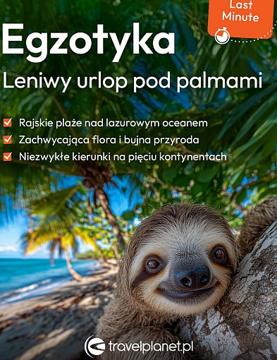Palmy zamiast śniegu – oferty Last Minute w Travelplanet w Pruszczu Gdańskim