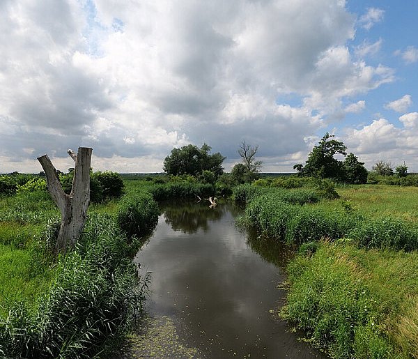 Co dalej z nowym parkiem narodowym? Minister klimatu zdradza plan po wecie-22632