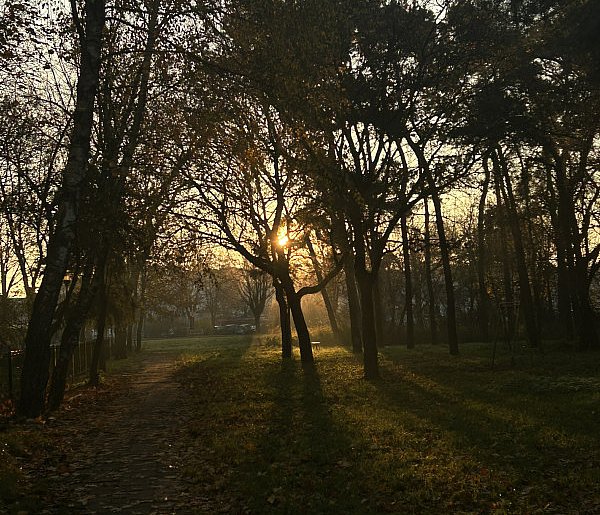 Nadchodzi najkrótszy dzień w 2025 roku. Sprawdź, kiedy przypadnie-23547