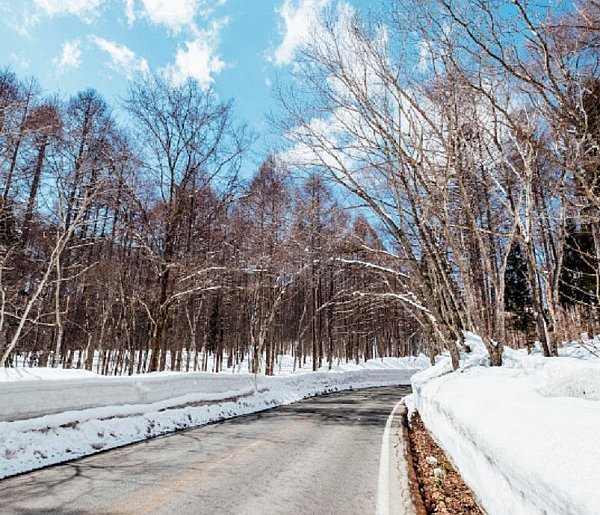 Gmina Pruszcz Gdański: Samochód w rowie w Lędowie – pomógł żołnierz 7 PBOT