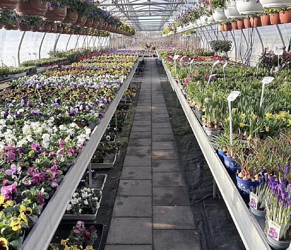 Centrum Ogrodnicze Woleccy - od 1988 dla Twojego ogrodu