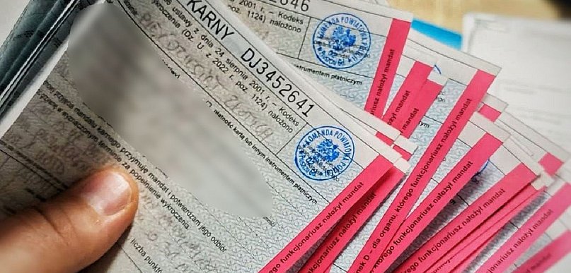 Pruszcz Gdański: 18 mandatów dla kierowcy ciężarówki podczas jeden kontroli