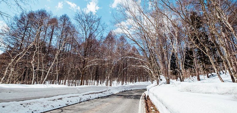 Gmina Pruszcz Gdański: Samochód w rowie w Lędowie – pomógł żołnierz 7 PBOT