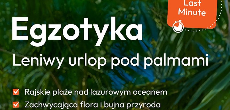 Palmy zamiast śniegu – oferty Last Minute w Travelplanet w Pruszczu Gdańskim