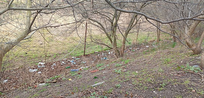 Wiosenne porządki w Pruszczu Gdańskim – harmonogram sprzątania ulic