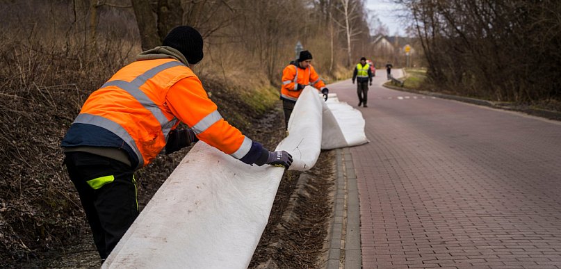 Gmina Pruszcz Gdański: W Juszkowie będzie bezpieczniej... dla płazów