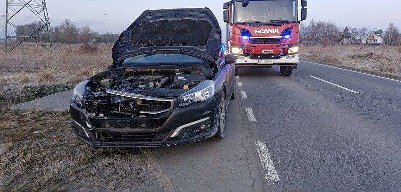 Gm. Cedry Wielkie: Samochód zderzył się z sarną w Cedrach Małych