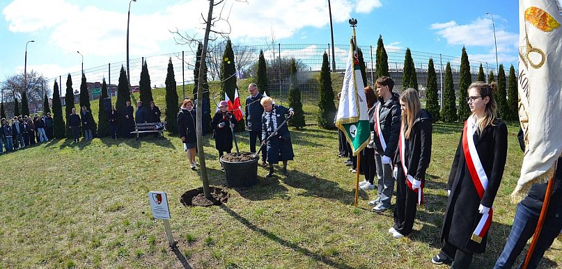Hołd dla ofiar Zbrodni Katyńskiej. W Pruszczu posadzono Dąb Pamięci