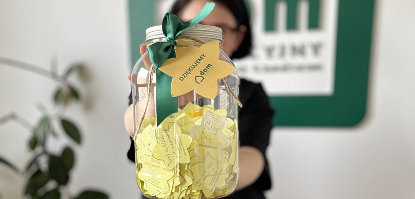 Żonkile ponownie zakwitną. „Pola Nadziei” w Pruszczu Gdańskim