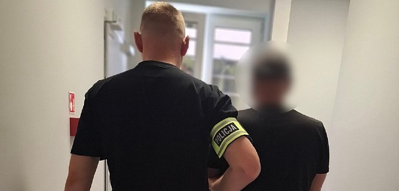 Seria policyjnych zatrzymań w powiecie gdańskim