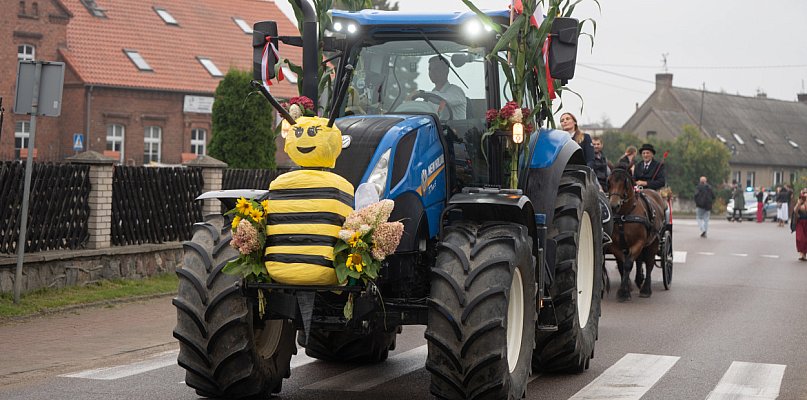 Święto Plonów w Pszczółkach - taki był drugi dzień wojewódzkich dożynek - 21273