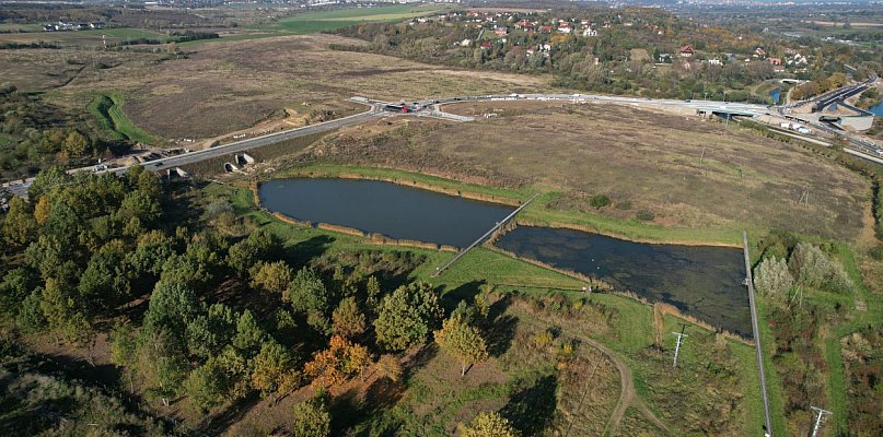 Głos Pruszczan - 1707 głosów w sprawie nowego parku przy Osiedlu Bursztynowym