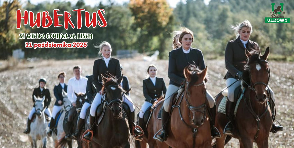 Grafika organizatora