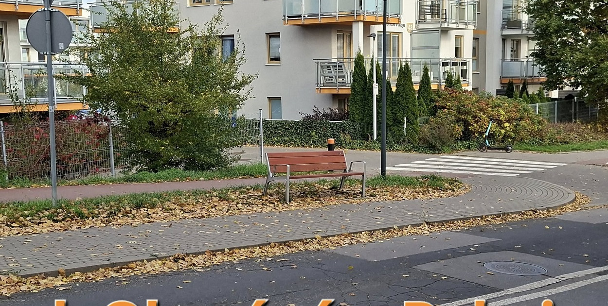 Facebook/Dominik Skwierawski - Twój radny Miasta Pruszcz Gdański 