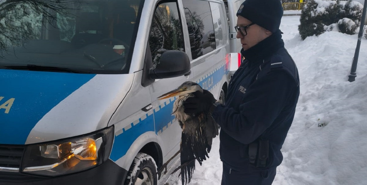 KPP w Pruszczu Gdańskim