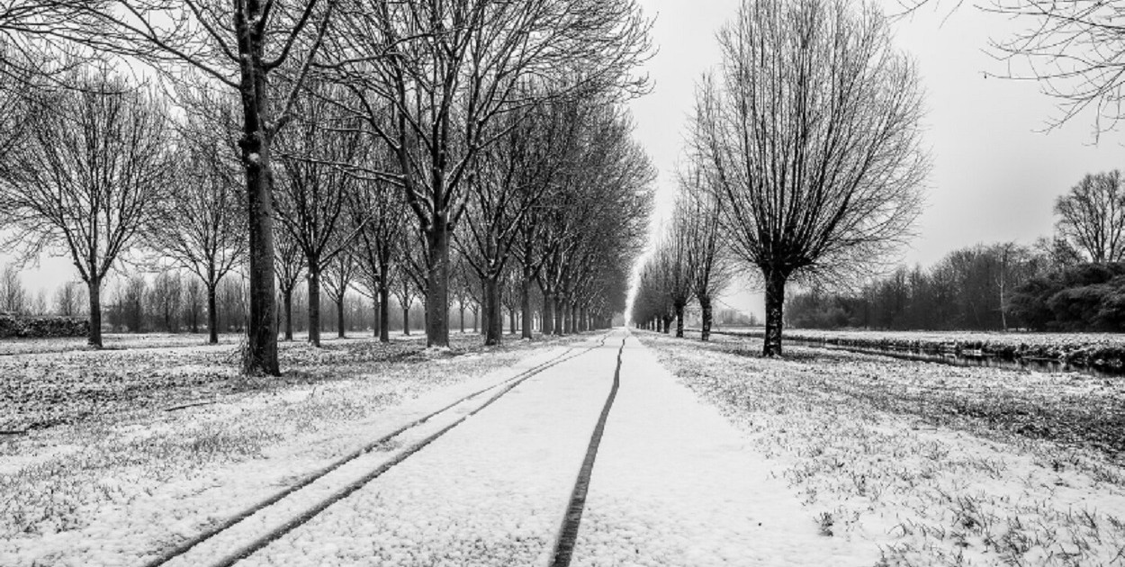 Skargi mieszkańców na drogi i chodniki w gminie Cedry Wielkie. Wójt odpowiada