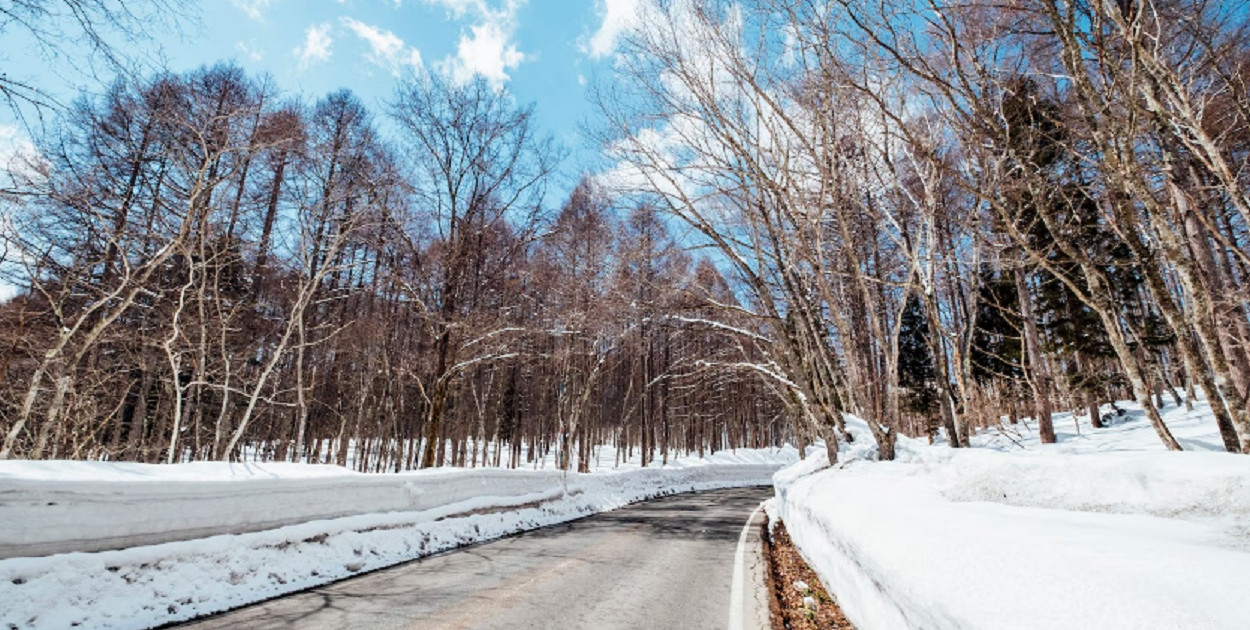 Gmina Pruszcz Gdański: Samochód w rowie w Lędowie – pomógł żołnierz 7 PBOT