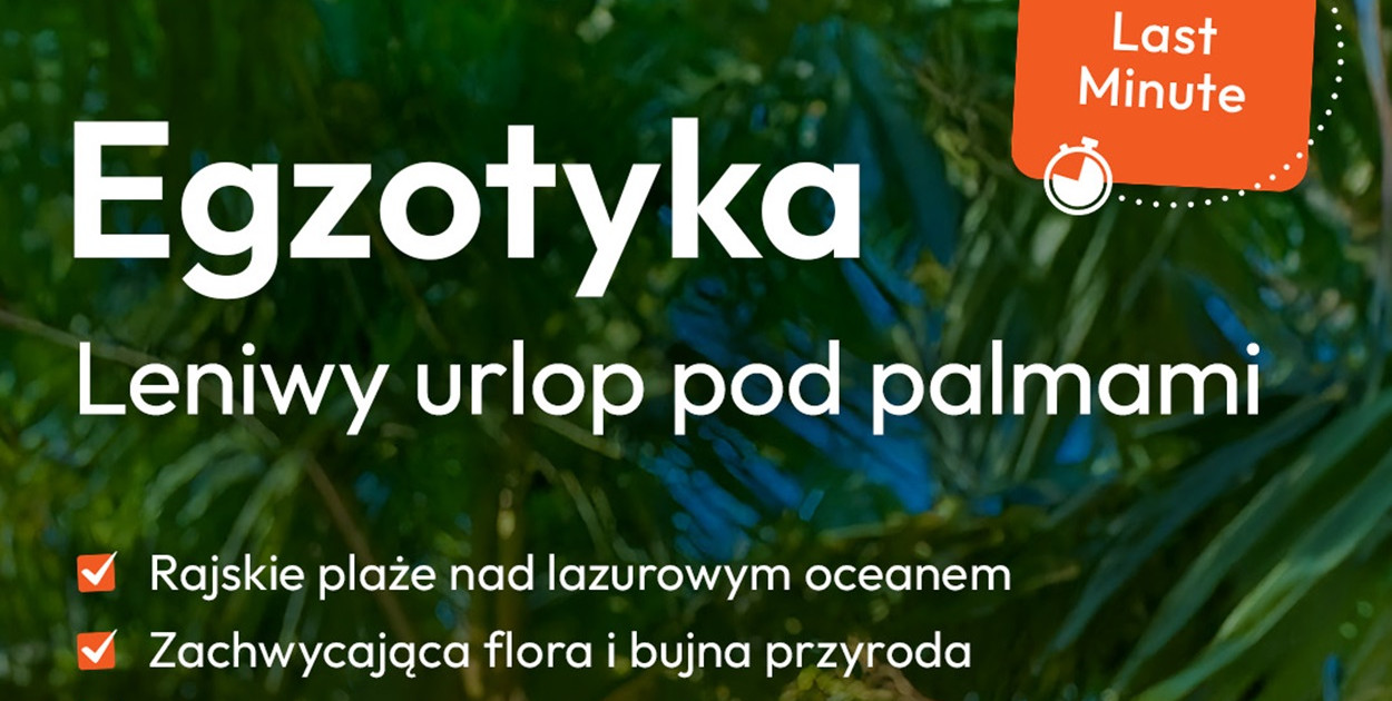 Palmy zamiast śniegu – oferty Last Minute w Travelplanet w Pruszczu Gdańskim