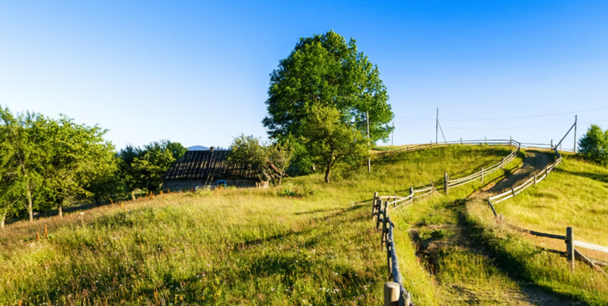10 mln zł na rozwój wsi. Startuje konkurs „Aktywna wieś”