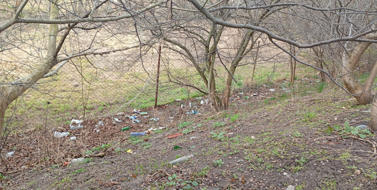 Wiosenne porządki w Pruszczu Gdańskim – harmonogram sprzątania ulic