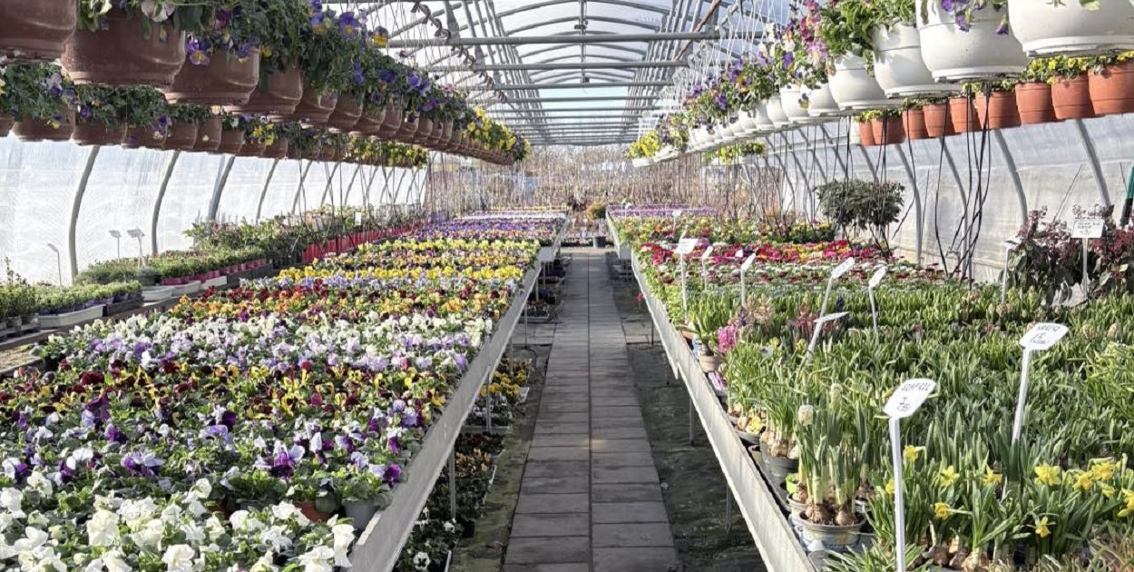 Od 1988 roku tworzą piękne ogrody – Centrum Ogrodnicze Woleccy w Wiślince