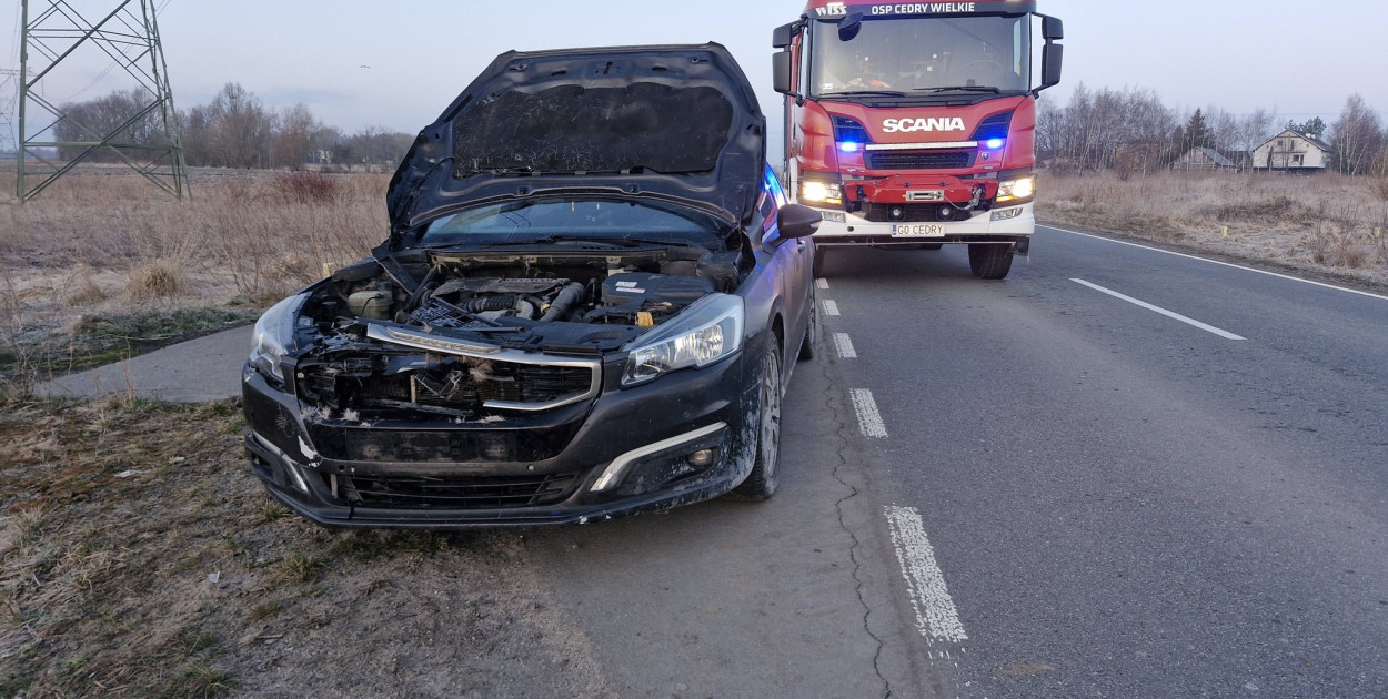 Gm. Cedry Wielkie: Samochód zderzył się z sarną w Cedrach Małych