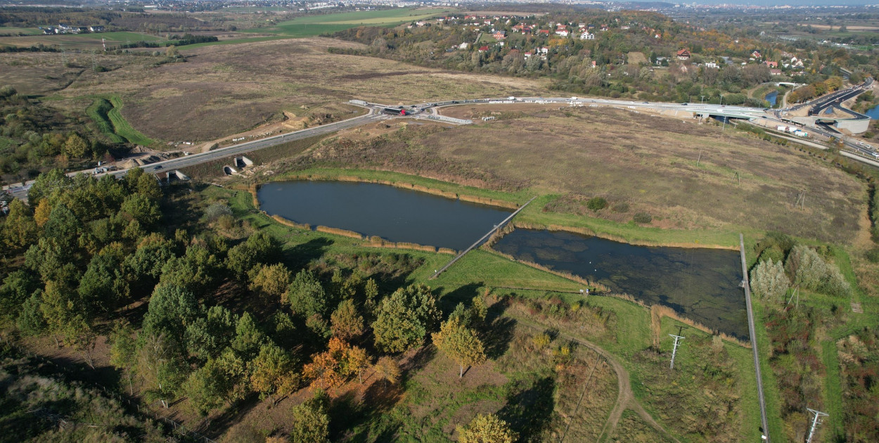 Głos Pruszczan - 1707 głosów w sprawie nowego parku przy Osiedlu Bursztynowym
