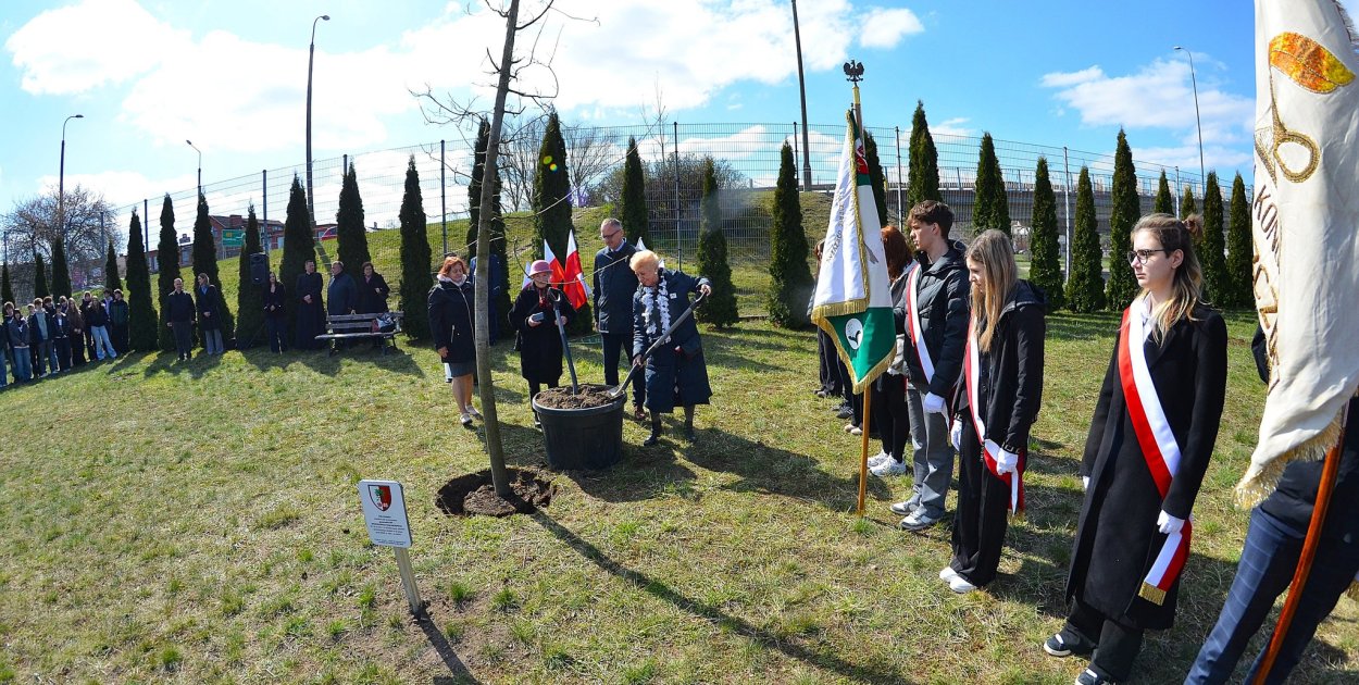 Hołd dla ofiar Zbrodni Katyńskiej. W Pruszczu posadzono Dąb Pamięci